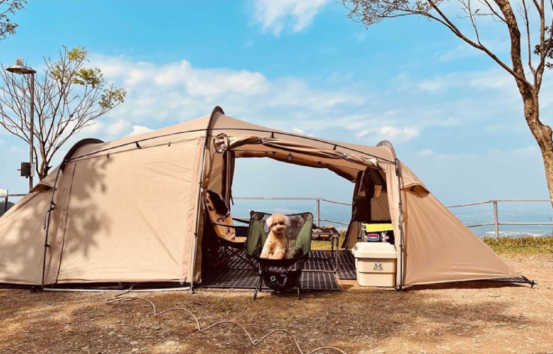 誰來推薦＿Takea露