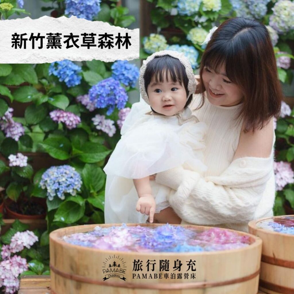 新竹薰衣草森林 IG：@soursourhsu