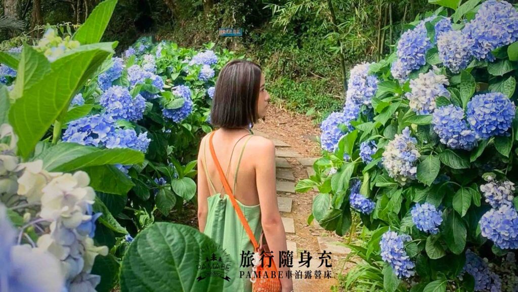 繡球花花期到啦~全台最佳景點推薦！